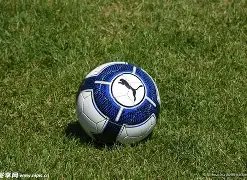 山东女篮赤,水河主场连,战胜福建,pg游戏官网登录入口,PG电子最新官网,pg游戏官网登录入口,pg电子游戏app