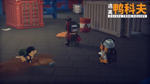 张常宁公布决定，江苏女排全力支持，龚翔宇展望新纪元